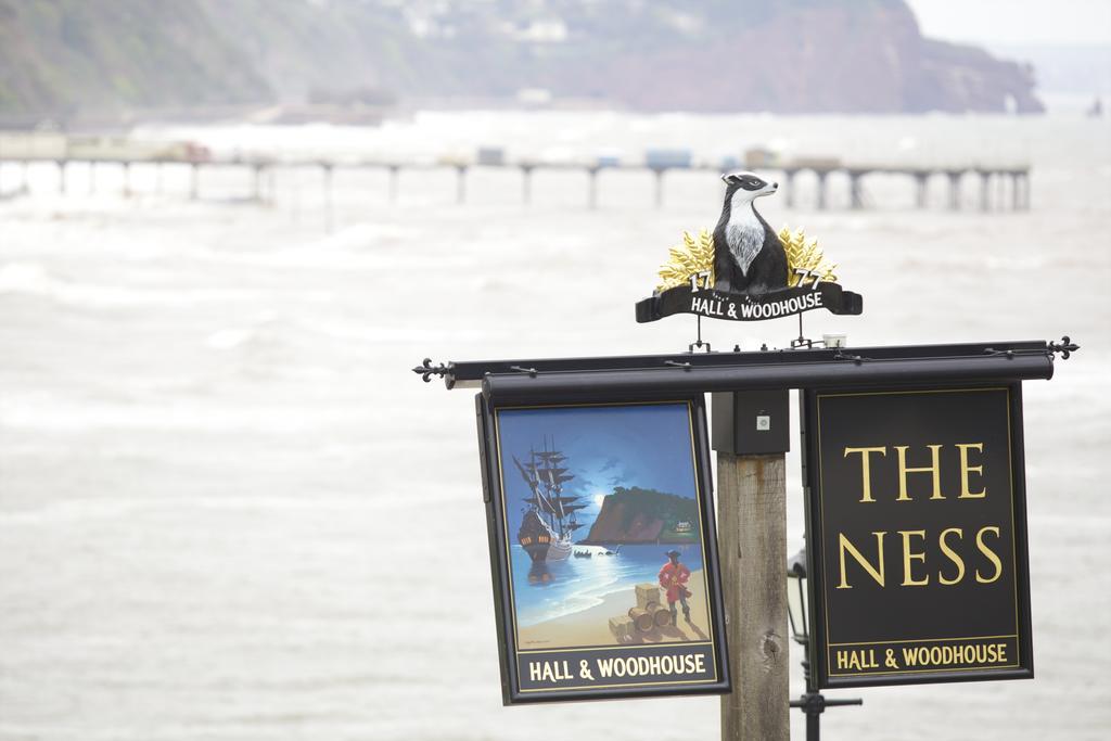 The Ness Bed & Breakfast Teignmouth Dış mekan fotoğraf